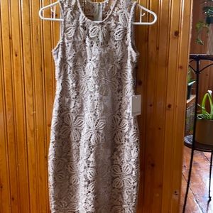 Brand new. Never worn. Tags on Calvin Klein dress. Size 2 petite